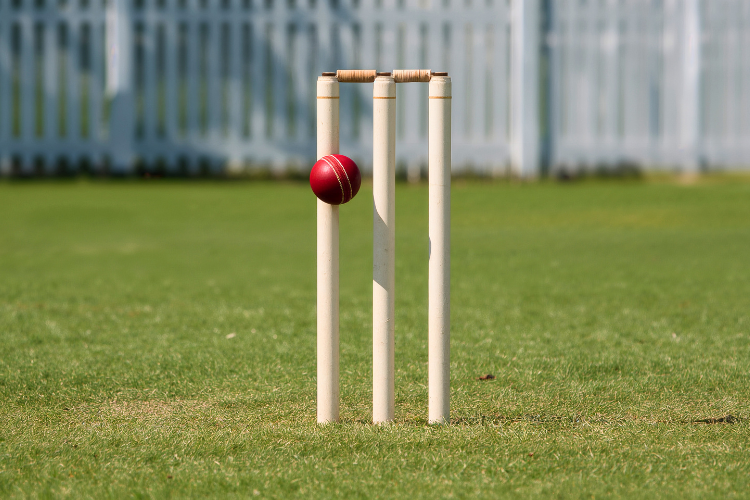 ウィケットとボール