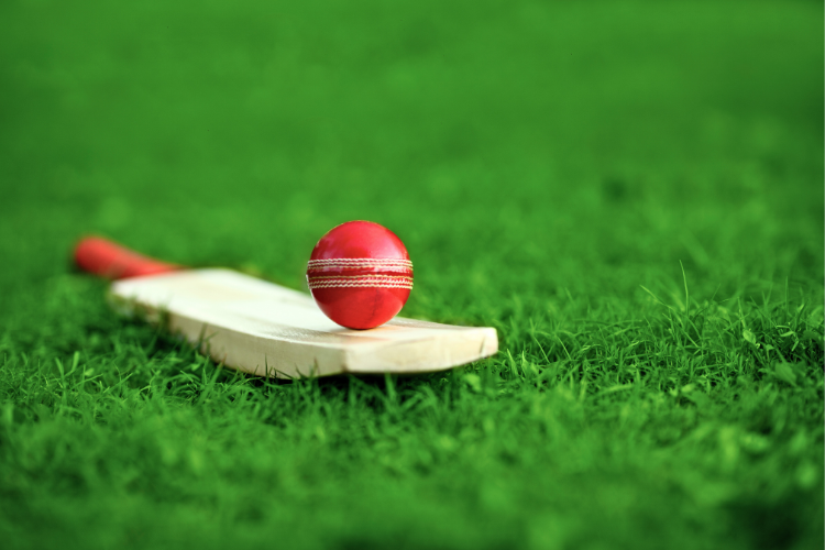 クリケットのバットとボール